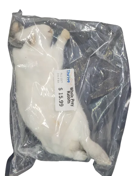 Whole Prey Rabbit