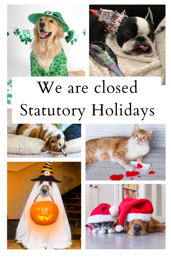 About Thrive Pet Food Market