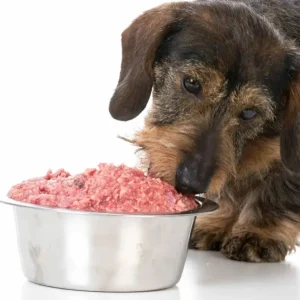 Choosing the best raw foods for your pets