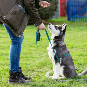 When it comes to training, the earlier the better