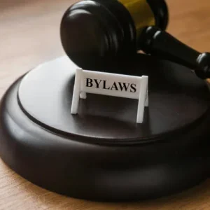 RPO bylaw revision