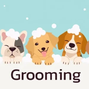 Fall grooming