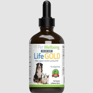 Pet Wellbeing Kidney Support Gold